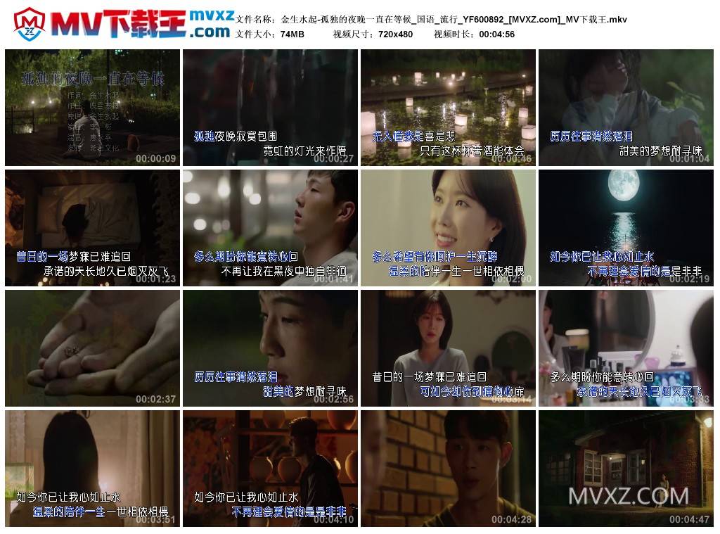 金生水起-孤独的夜晚一直在等候_国语_流行_YF600892